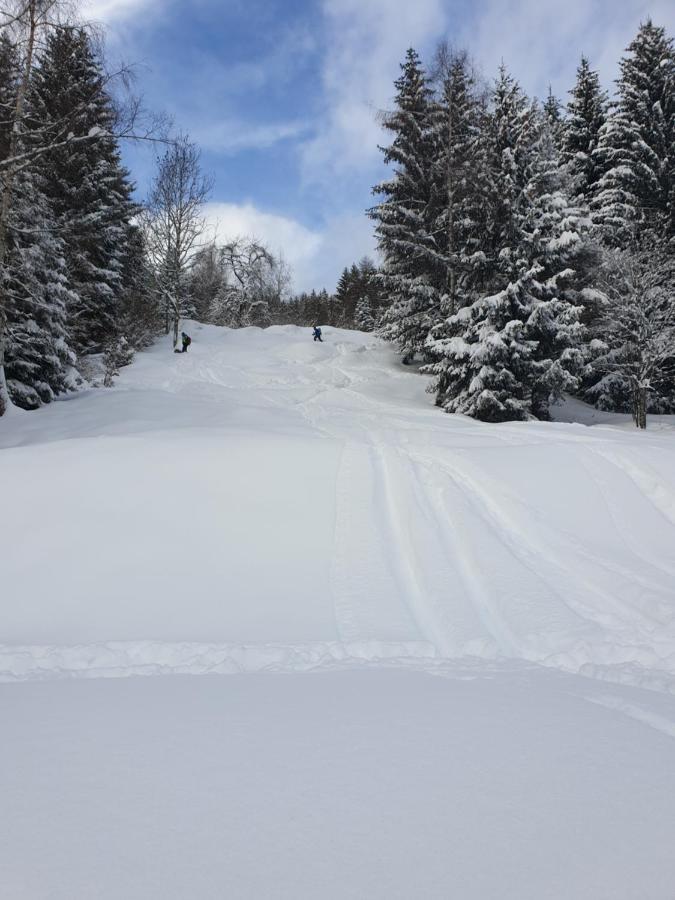 Chalet Chapeau Rar Castel Condino Eksteriør billede