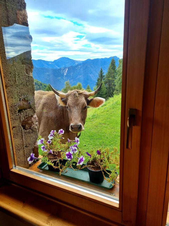 Chalet Chapeau Rar Castel Condino Eksteriør billede