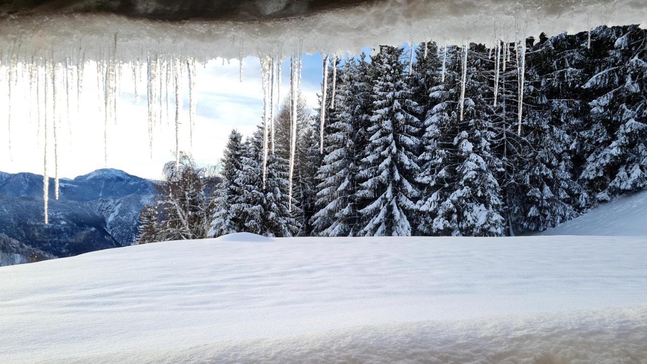 Chalet Chapeau Rar Castel Condino Eksteriør billede