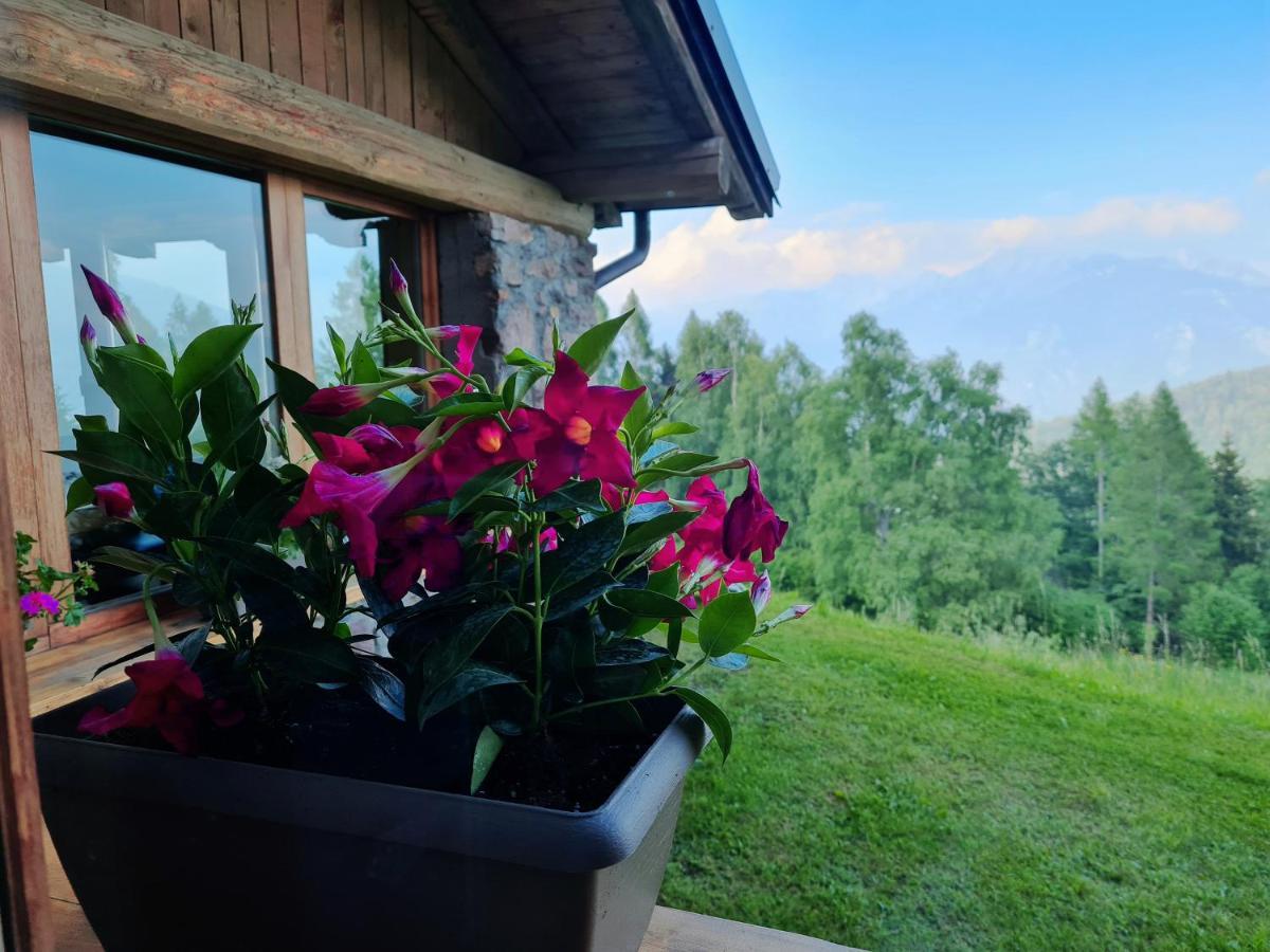 Chalet Chapeau Rar Castel Condino Eksteriør billede